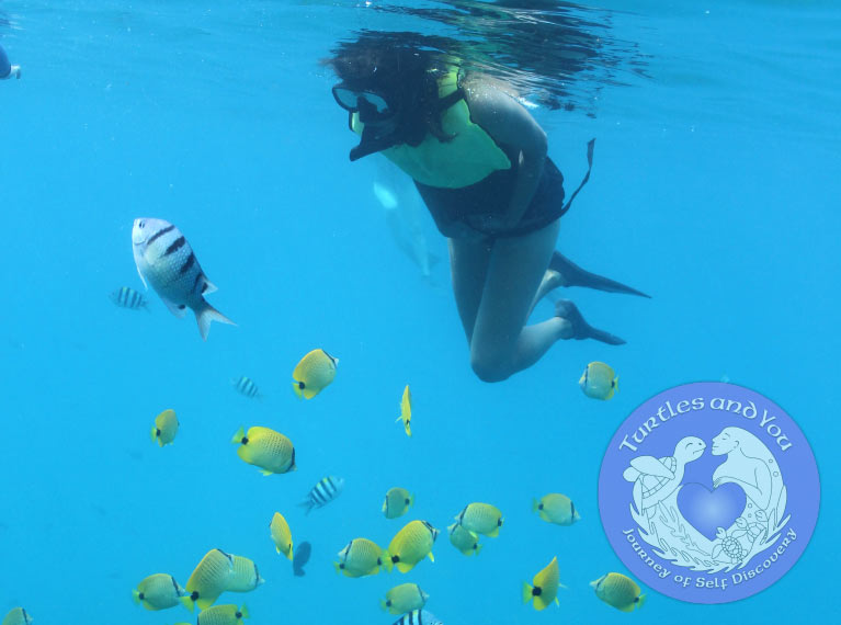 Snorkeling Session with Hawaiian Reef Fish and Turtles