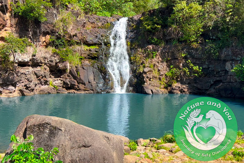 Waimea Waterfall Swim