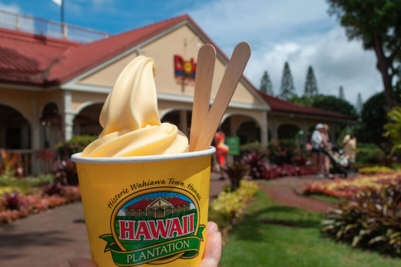 Delicious No-Host Dole Whip Ice Cream