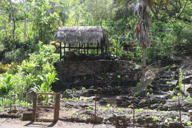 Keep an eye out for the Hawaiian Hale (Houses)