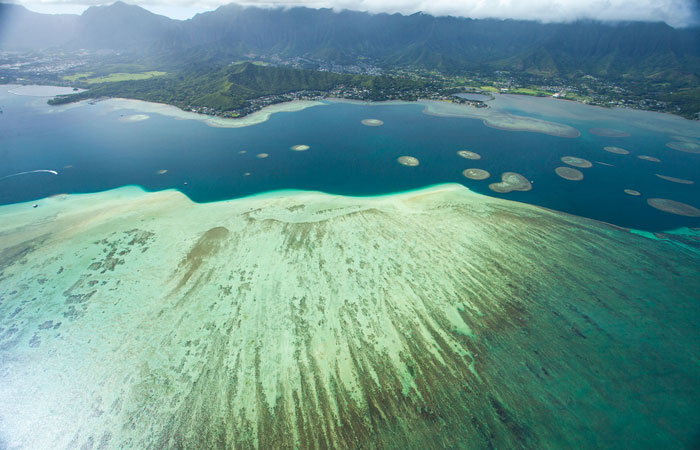 Kaneohe Bay & World's Largest Saltwater Sandbar