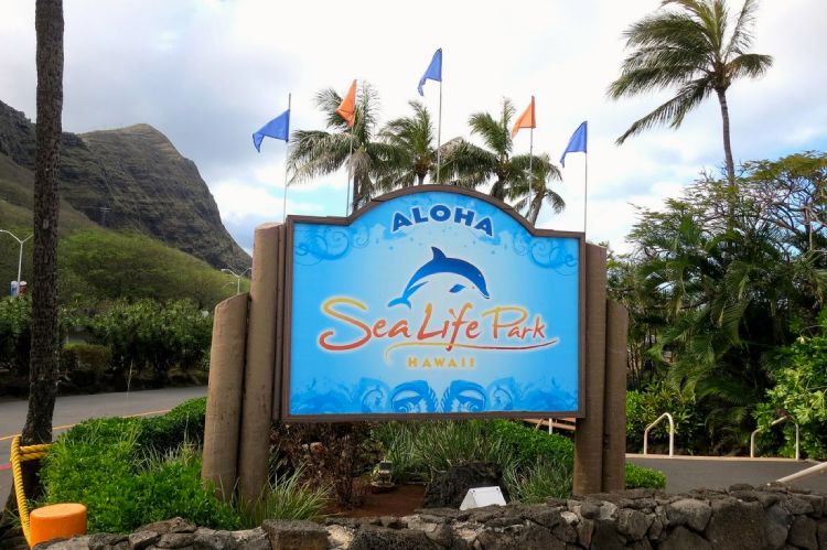 Sea Life Park Oahu