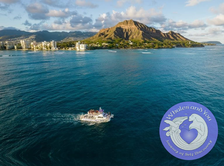 Beautiful Diamond head views from the Boat